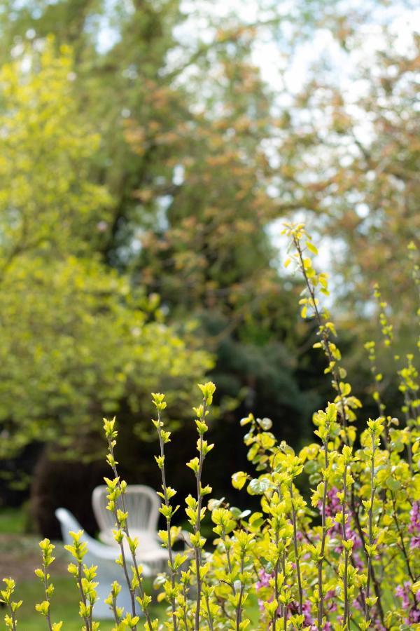 Bed & Breakfast Neeltje Soet Міерло Екстер'єр фото